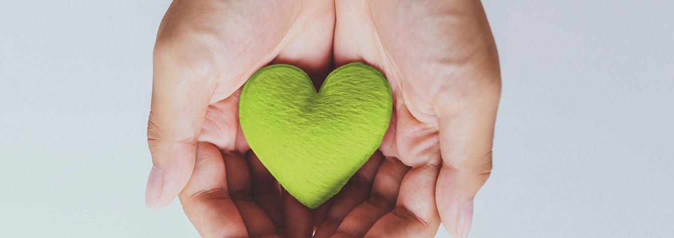 Ein grünes Herz wird in den Händen gehalten